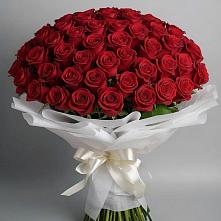 Букет 101 Красная роза Блэк Мэджик в Североонежск