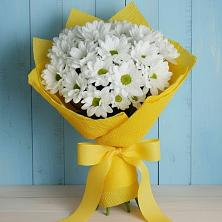 Букет цветов из:  Хризантемы в Североонежск