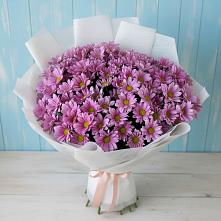 Букет цветов из:  Хризантемы #REPLACE_PRED# Североонежск