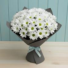 Букет цветов из:  Хризантемы #REPLACE_PRED# Североонежск