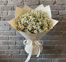 Букет цветов из:  Ромашки #REPLACE_PRED# Североонежск