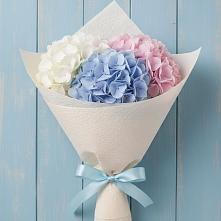 Букет цветов из:  Гортензия #REPLACE_PRED# Североонежск