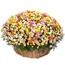 Премиум букет из: Розы #REPLACE_PRED# Североонежск