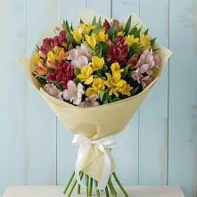 Букет цветов из:  Альстромерии в Североонежск