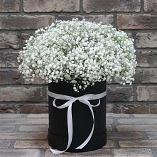 Цветочная композиция из Гипсофила в шляпной коробке в Североонежск