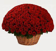 Премиум букет из: Розы в Североонежск